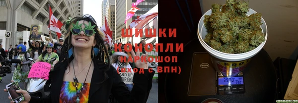 ГАЛЛЮЦИНОГЕННЫЕ ГРИБЫ Алзамай